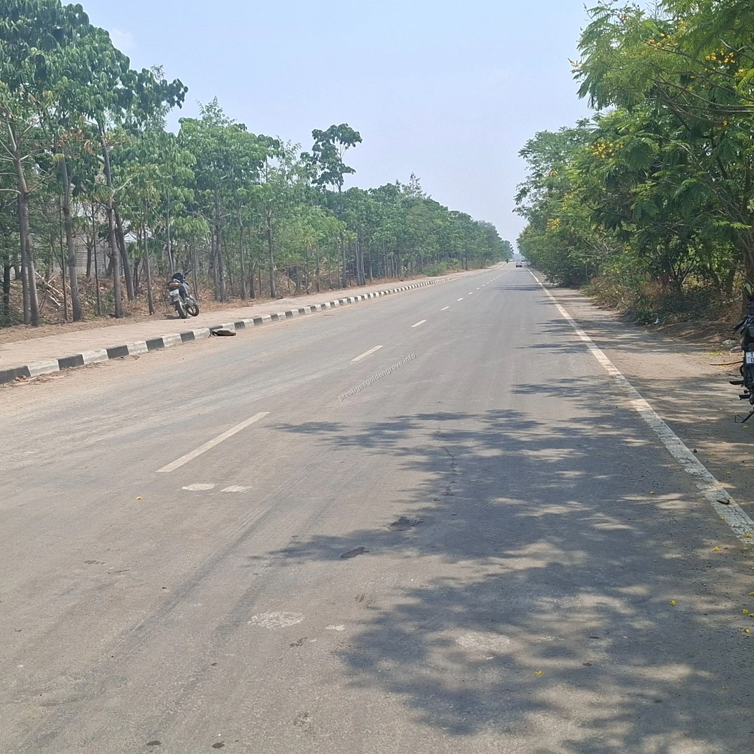 Landscaped Internal Roads of Prestige Golden Grove View of a spacious asphalt road with black and white curbstones, featuring lush green trees and a temporary site office tent on the side at Prestige Golden Grove.